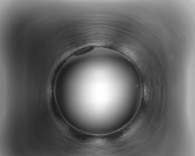 X0000088710348200706071604