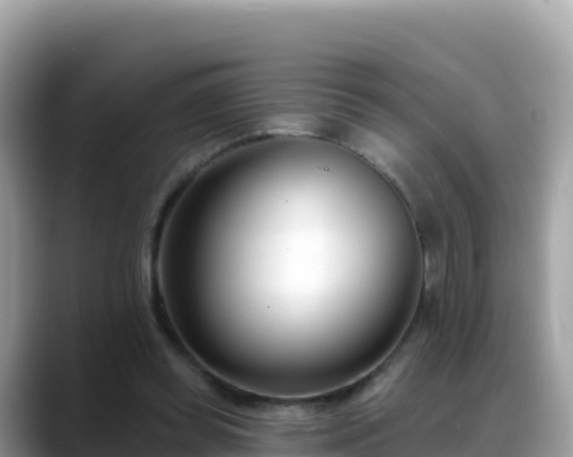 X0000088710349200706071604