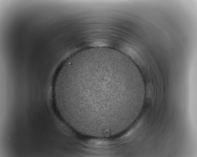 X0000088710351200706071604