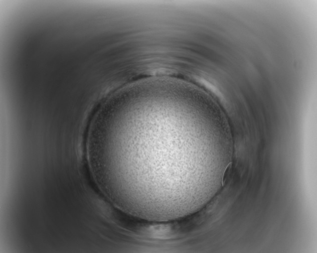 X0000088710353200706071604