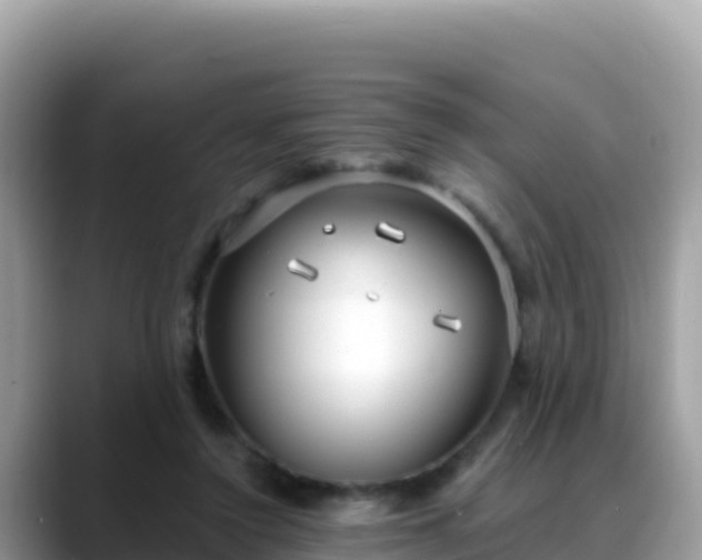 X0000088710356200706071604