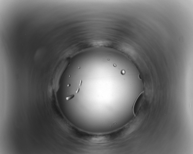 X0000088710357200706071604