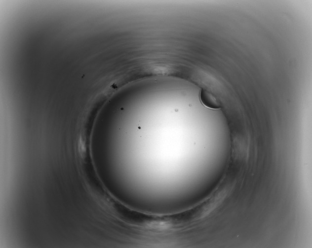 X0000088710358200706071604