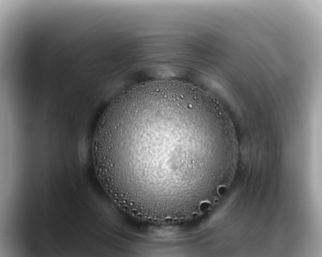 X0000088710359200706071604