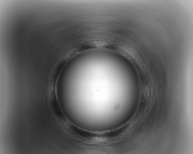 X0000088710360200706071604