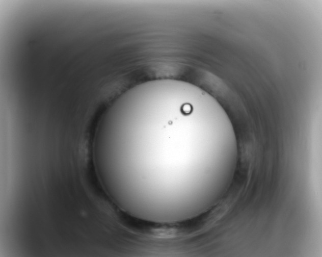 X0000088710362200706071604