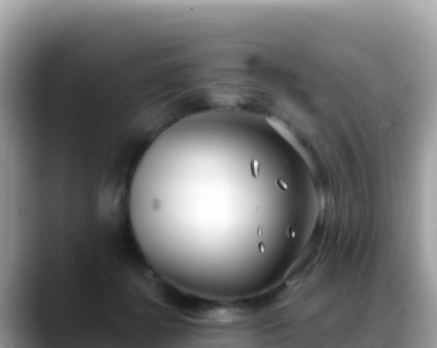 X0000088710364200706071604