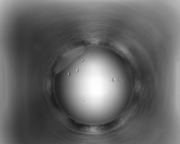 X0000088710365200706071604