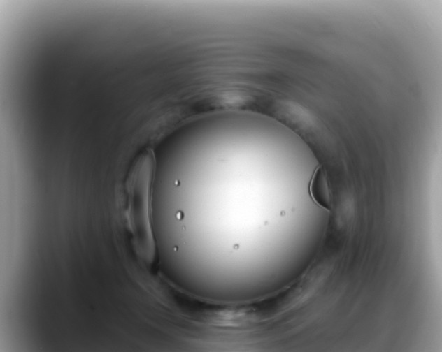 X0000088710366200706071604