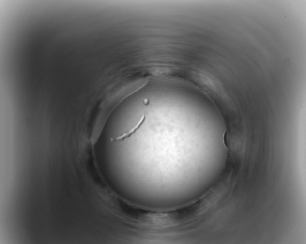 X0000088710367200706071604