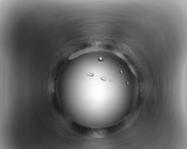 X0000088710368200706071604