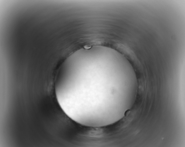 X0000088710369200706071604