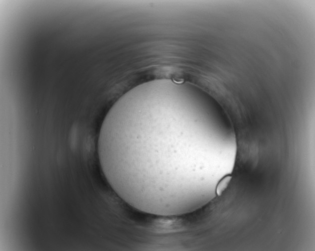 X0000088710375200706071604