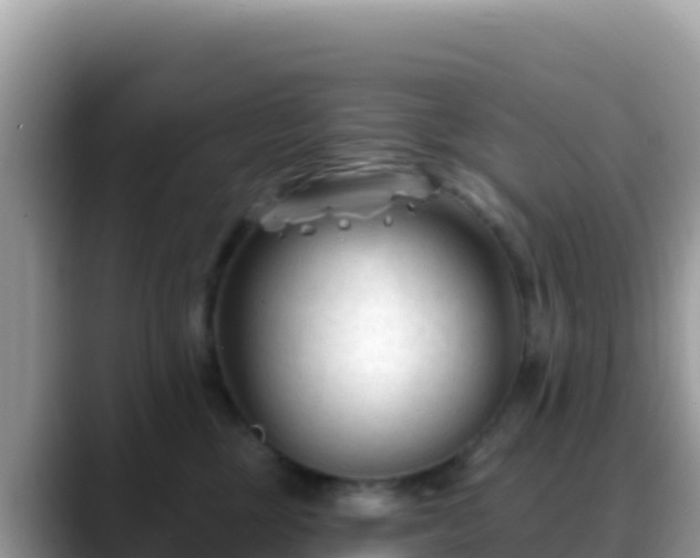 X0000088710377200706071604