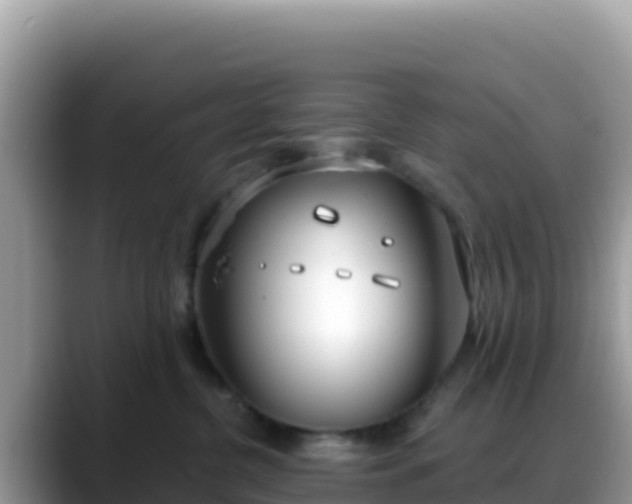 X0000088710380200706071604