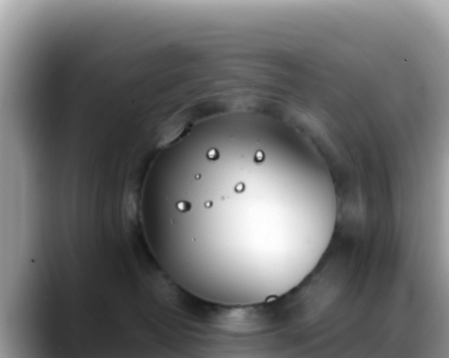 X0000088710382200706071605