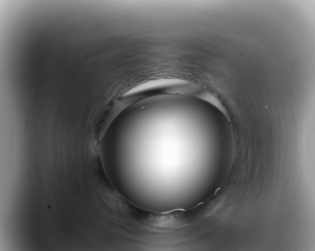 X0000088710384200706071605