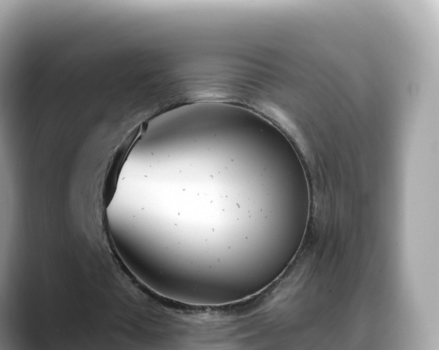 X0000088710385200706071604