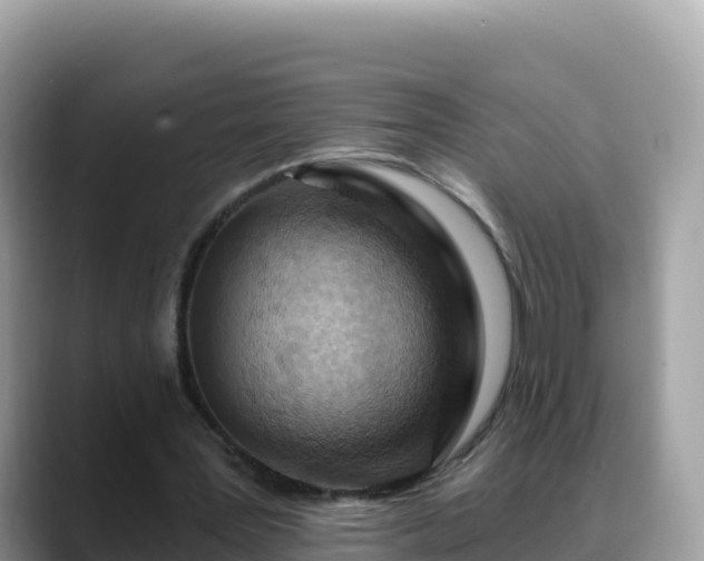 X0000088710387200706071604