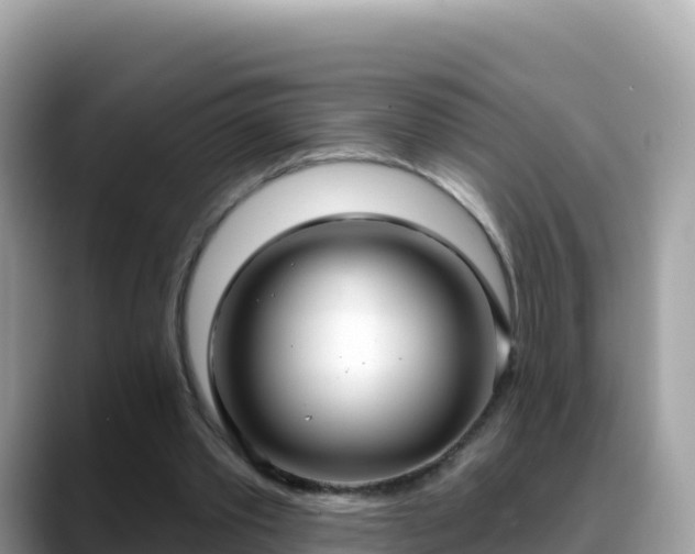 X0000088710389200706071604