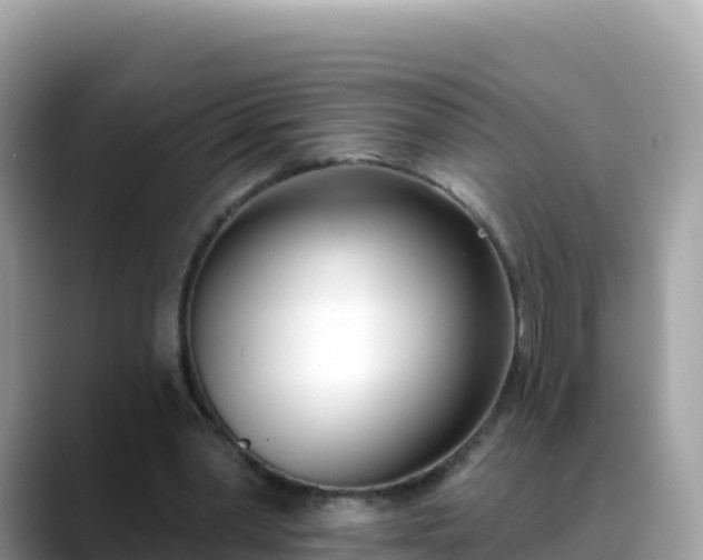 X0000088710390200706071604