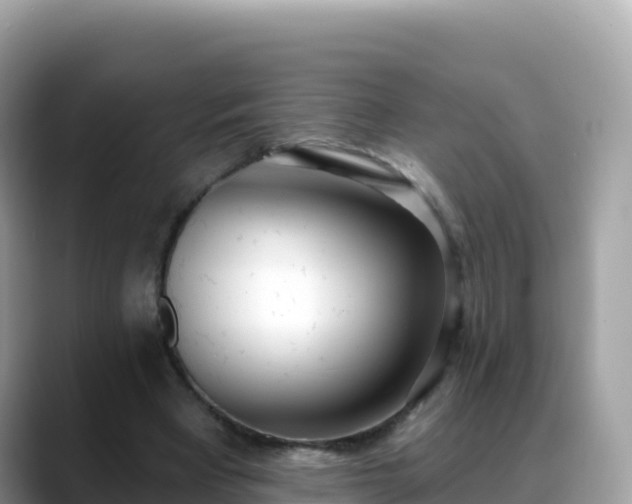 X0000088710393200706071604