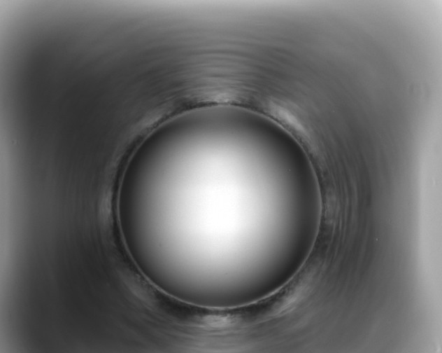 X0000088710394200706071604