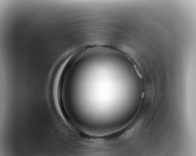 X0000088710395200706071604