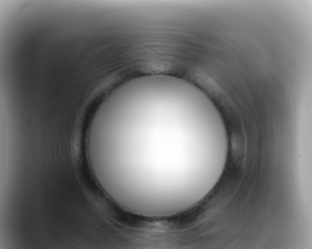 X0000088710396200706071604