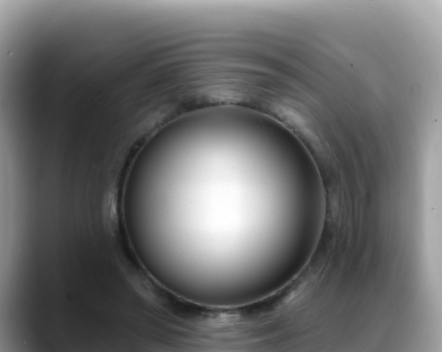 X0000088710398200706071604