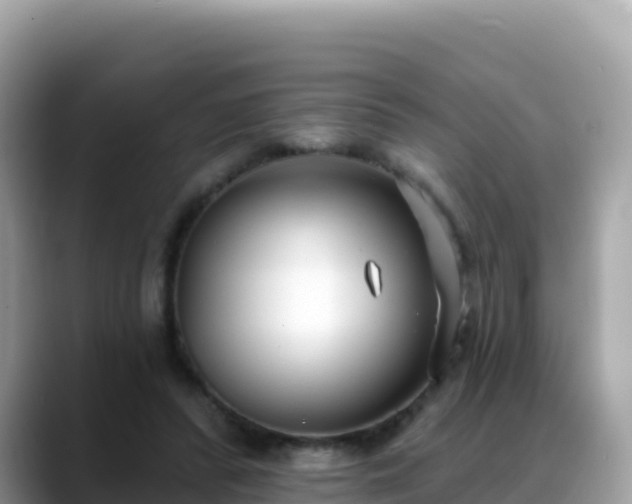 X0000088710400200706071604