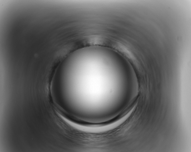 X0000088710401200706071604