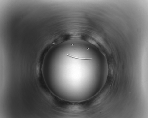 X0000088710404200706071604