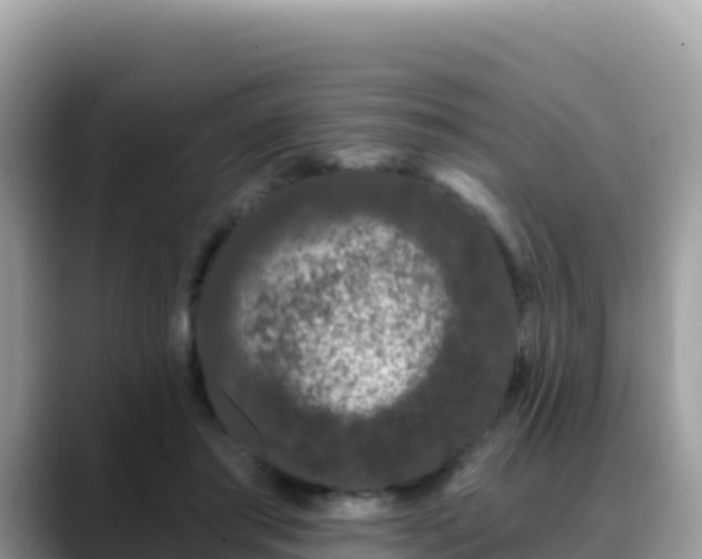 X0000088710405200706071604