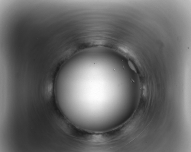 X0000088710406200706071604