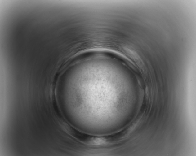 X0000088710409200706071604