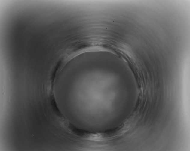 X0000088710411200706071604