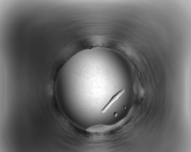 X0000088710413200706071604