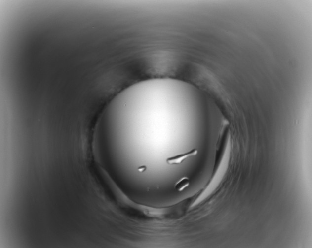 X0000088710416200706071604