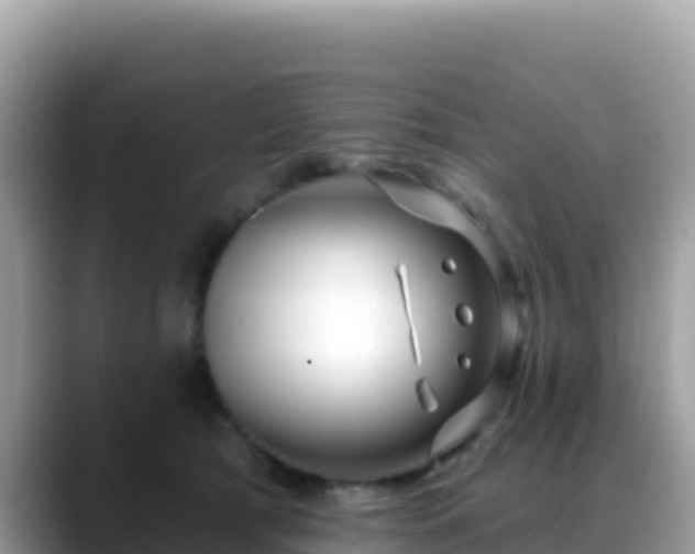 X0000088710417200706071604