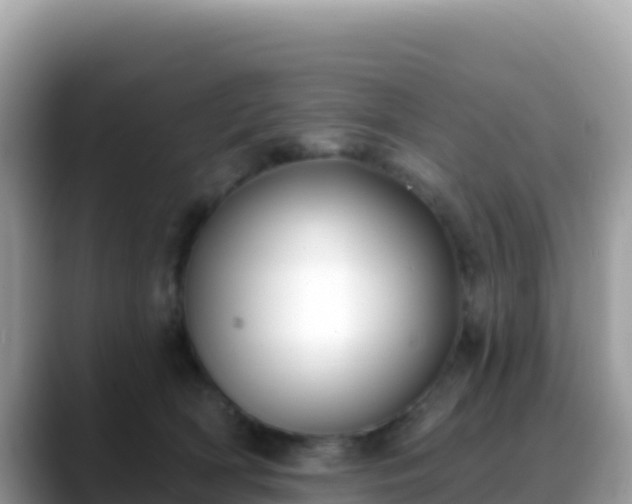 X0000088710418200706071603