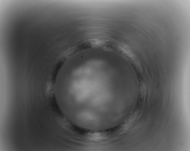 X0000088710419200706071603