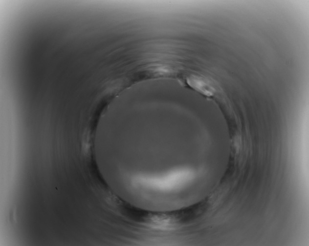 X0000088710423200706071603