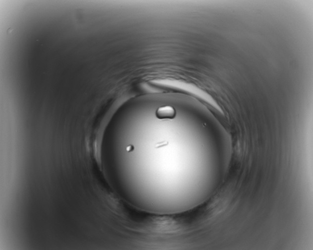 X0000088710424200706071603