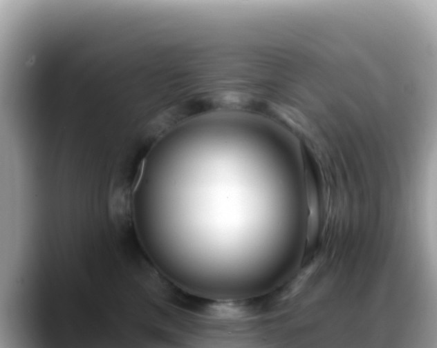 X0000088710425200706071603