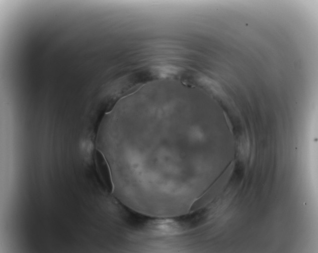 X0000088710427200706071603