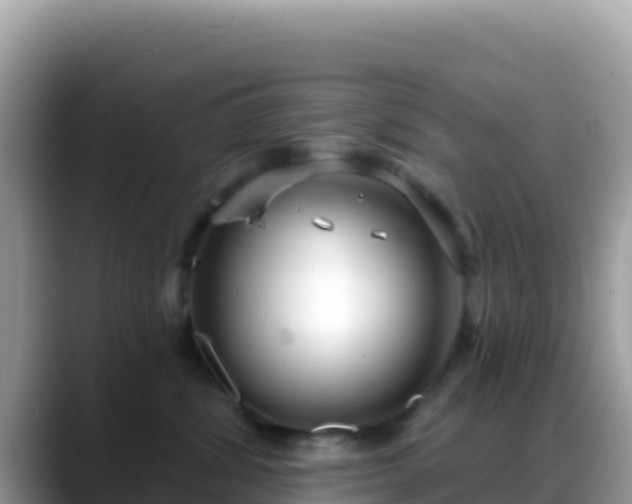 X0000088710428200706071603