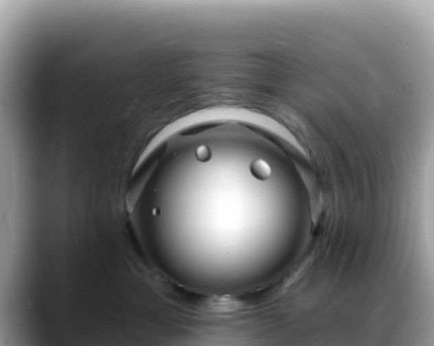 X0000088710429200706071603