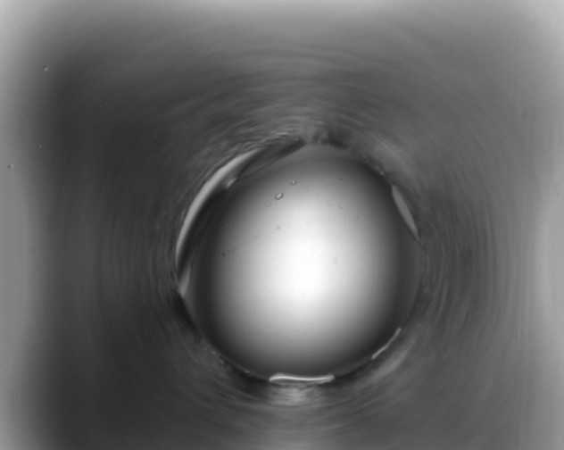 X0000088710432200706071603