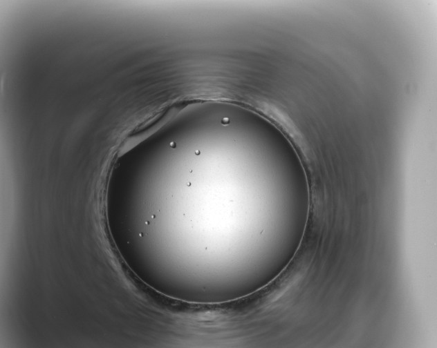 X0000088710433200706071603